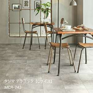 MCR-743~MCR-748eRb^yCTCYz[304.8x 304.8 x 3mm x 32/P[X(2.97m)] y}eB EbhC2022-25 z^W}^CRNV