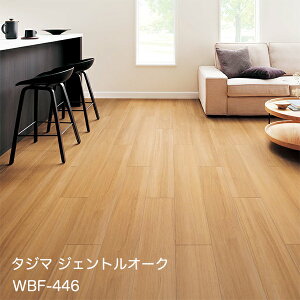 WBF-445,WBF-446 WFgI[N [180x 1260 x 3mm x 13/P[X(2.95m)] y}eB EbhC2022-25 z^W}^CRNV