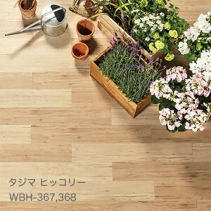 WBH-367,WBH-368 qbR[ [150 x 914.4 x 3mm x 22/P[X(3.02m)] y}eB EbhC2022-25 z^W}^CRNV