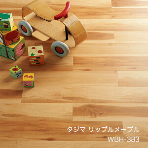 WBH-383 bv[v [150 x 914.4 x 3mm x 22/P[X(3.02m)] y}eB EbhC2022-25 z^W}^CRNV