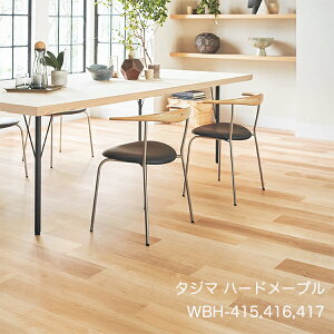 WBH-415,WBH-416,WBH-417 n[h[v [150 x 914.4 x 3mm x 22/P[X(3.02m)] y}eB EbhC2022-25 z^W}^CRNV