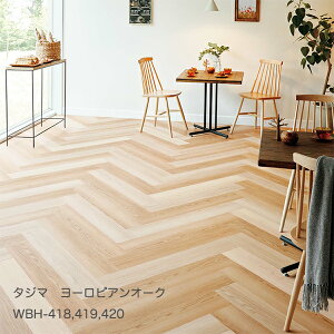 WBH-418~WBH-422 [sAI[N [150 x 914.4 x 3mm x 22/P[X(3.02m)] y}eB EbhC2022-25 z^W}^CRNV