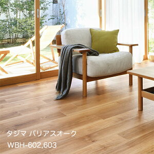 WBH-602,WBH-603 oAXI[N [150 x 914.4 x 3mm x 22/P[X(3.02m)] y}eB EbhC2022-25 z^W}^CRNV