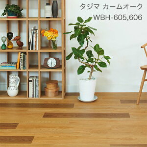 WBH-604,WBH-605,WBH-606 J[I[N [150 x 914.4 x 3mm x 22/P[X(3.02m)] y}eB EbhC2022-25 z^W}^CRNV