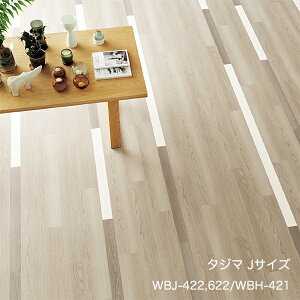 WBJ-422~WBJ-623 JTCY[76.2x 914.4 x 3mm x 44/P[X(3.07m)] y}eB EbhC2022-25 z^W}^CRNV