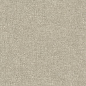 TTN1003,TTN1004,TTN1006, TTN1007,TTN1013,TTN1014 ���� ���[�X���C�^�C��2025 ���[�X���C40NW-EX �N���X 500 x 500 x 4mm�� 12��/1�P�[�X