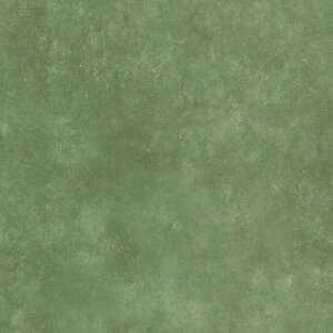 TTN3230,TTN3231,TTN3232, TTN3233,TTN3234 ���� ���[�X���C�^�C��2025 ���[�X���C50NW-EX �R���R�b�g 500 x 500 x 5mm�� 10��/1�P�[�X
