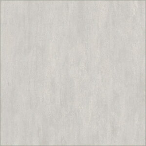 ECT6009~ECT6011���� �^�C���R���N�V����2025~2028 �C�[�N�����E���ANW-EX �t���������^��600×600mm×3.0mm�� 10��/1�P�[�X(3.60����m)