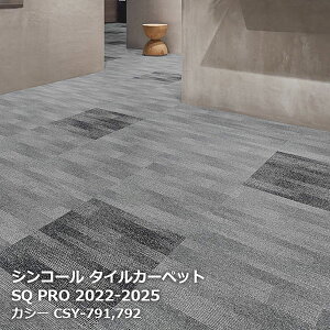 CSY-791,CSY-792 JV[ VR[ ^CJ[ybg [SQ PRO2022-2025] 50cmp20/P[X