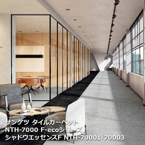 NTH7000F-eco�T���Q�c�^�C���J�[�y�b�g [2023-2026 NT700] �V���[�Y �V���h�E�G�b�Z���X F NTH-70001,NTH-70002, NTH-70003,NTH-70004 50cm�p 20������/1�P�[�X