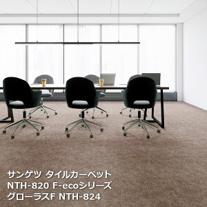 NTH820F-eco�T���Q�c�^�C���J�[�y�b�g [2023-2026 NT700] �V���[�Y �O���[���X F NTH-821,NTH-822,NTH-823, NTH-824,NTH-825,NTH-826, NTH-82007,NTH-82009 50cm�p 20������/1�P�[�X