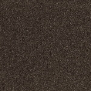 XNGA2400 \ t@ubNtAʋzHty50cmpz10F1Zbg