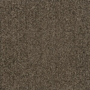 XNGA2400 \ t@ubNtAʋzHty50cmpz10F1Zbg