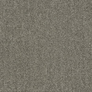 XNGA2400 \ t@ubNtAʋzHty50cmpz10F1Zbg