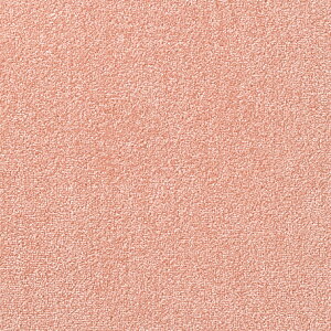 �A�^�b�N270 �L�����p�X�t�@�C������ �t�@�u���b�N�t���A���ʋz�����H�t���y40cm�p�z10�����F1�Z�b�g