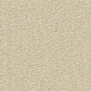 NRG-5211~NRG-5220 �j���[���S���X �V���R�[�� �^�C���J�[�y�b�g [SQ PRO2025-2028] 50cm�p 16��/�P�[�X