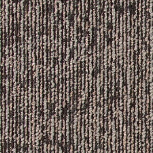 SCR-341,SCR-342,SCR-343 XNb` VR[ ^CJ[ybg [SQ PRO2025-2028] 50cmp 16/P[X