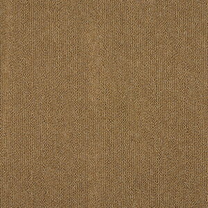 �^�s�X�v���[�k2 �v���[�� �^�W�} �^�C���J�[�y�b�gTS 481-222~481-285 50cm�p 16��/�P�[�X �̔�