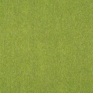 �^�s�X�v���[�k2 �v���[�� �^�W�} �^�C���J�[�y�b�gTS 481-222~481-285 50cm�p 16��/�P�[�X �̔�