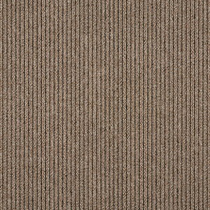 �^�s�X�v���[�k2 �s���X�g���C�v �^�W�} �^�C���J�[�y�b�gTS 481-801~481-817 50cm�p 16��/�P�[�X �̔�