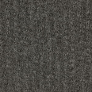 �^�s�X�Z���N�gPlus �^�W�} �^�C���J�[�y�b�gTS TSP-101~TSP-121 50cm�p 16��/�P�[�X �̔�