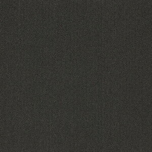 �^�s�X�Z���N�gPlus �^�W�} �^�C���J�[�y�b�gTS TSP-101~TSP-121 50cm�p 16��/�P�[�X �̔�