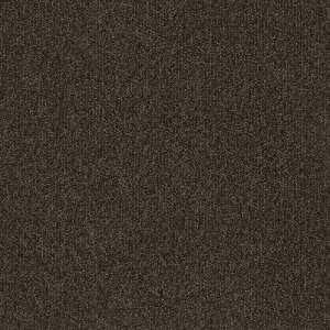 �^�s�X�Z���N�gPlus �^�W�} �^�C���J�[�y�b�gTS TSP-101~TSP-121 50cm�p 16��/�P�[�X �̔�