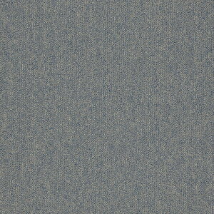 �^�s�X�Z���N�gPlus �^�W�} �^�C���J�[�y�b�gTS TSP-122~TSP-142 50cm�p 16��/�P�[�X �̔�