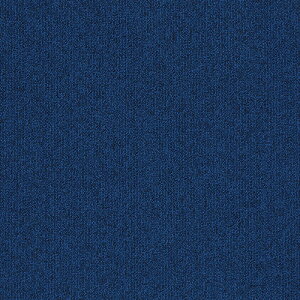 �^�s�X�Z���N�gPlus �^�W�} �^�C���J�[�y�b�gTS TSP-122~TSP-142 50cm�p 16��/�P�[�X �̔�
