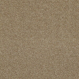 ^sX HG ^W} ^CJ[ybgTZ AS-2,AS-9,AS-24,AS-26, AS-31,AS-35,AS-36,AS-37 50cmp 8/P[X ̔