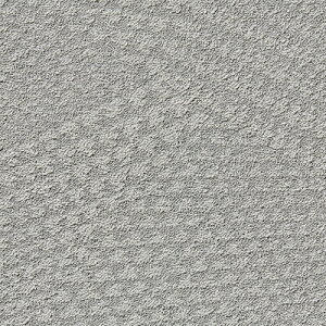�^�s�X �g���I�X �^�W�} �^�C���J�[�y�b�gTZ TZ10-681~TZ10-685 50cm�p 12��/�P�[�X �̔�