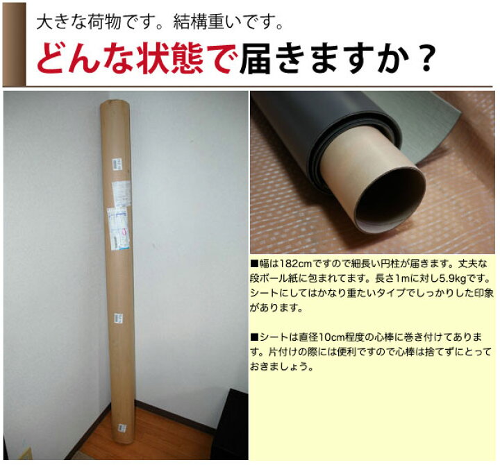 楽天市場】バレエシート バレエマット 東リ TMフロアTS1 バレエ専用 