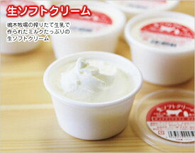 ハッピネスデーリィの大人気生ソフトクリームアイス12個入り 【i】