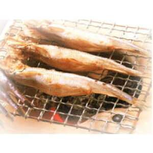 IX10Eq30̃VV̑lCZbg yiz