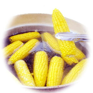 kCE\Y8炨͂Ƃ낱(݂炢)50{
