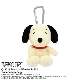 PEANUTS　ゴルフボールポーチ　スヌーピー　ボール2個収納可能