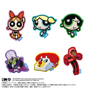 11\@ʂs@p[ptK[Y@BOX@6@y1BOXőS푵܂z