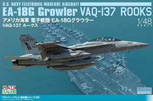 vbc/C^1/48 AJCR dq@ EA-18G OE[ VAQ-137 [NX vf TPA-32