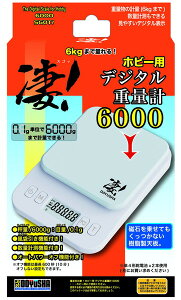 F Izr[pfW^dʌv6000 zr[pH