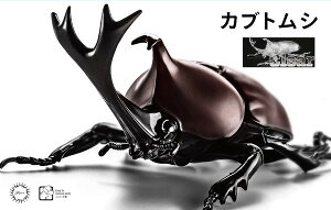 tW~͌^ RV[Y No.021 EX-1 ̕ JugV ʎdl(NA[) vf