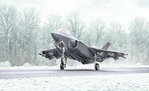 �y2026�N2�������\��z�@�C�^���� 1/48 F-35A ���C�g�j���OII �r�[�X�g���[�h �v�����f�� IT2836