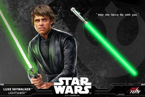 �y6�������\��z�@���F�� ZD TOYS �X�^�[�E�E�H�[�Y ���C�g�Z�[�o�[ No.02 ���[�N�E�X�J�C�E�H�[�J�[ �O���[��