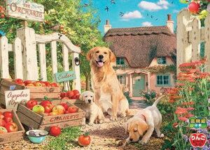 WO\[pY 500s[X qƃAbvK[f 53×38cm 500-325