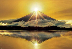 WO\[pY 300s[X {i ̃_Chxm 26×38cm 300-003