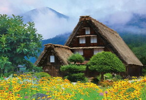 WO\[pY 300s[X i{ ԍʂ锒싽 38×26cm 300-093