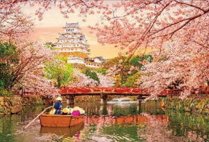 WO\[pY 1000s[X i{ [f̍ƕPH 72×49cm 1000-080