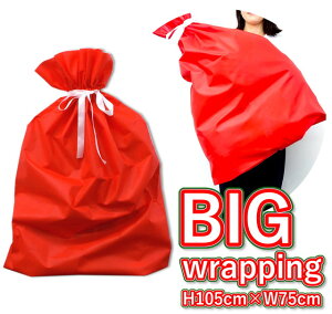 ^bsO H105cm W75cm }`20cm  (}`L BIGTCY 傫 Mtg В v[g NX}X a LO sDz)