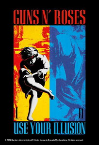 WO\[pY 120s[XminipY LEGEND OF ROCK USE YOUR ILLUSION i[YEAEC[Wj14.7×10cm 120-018