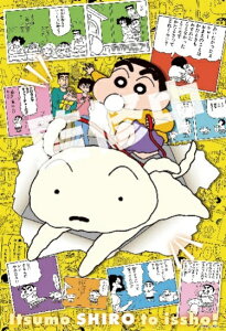 WO\[pY 300s[X N񂿂35NA[gB 300-162