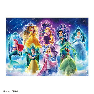 �W�O�\�[�p�Y�� 500�s�[�X Believing in Dreams ~����M����~ 35×49cm D-500-695